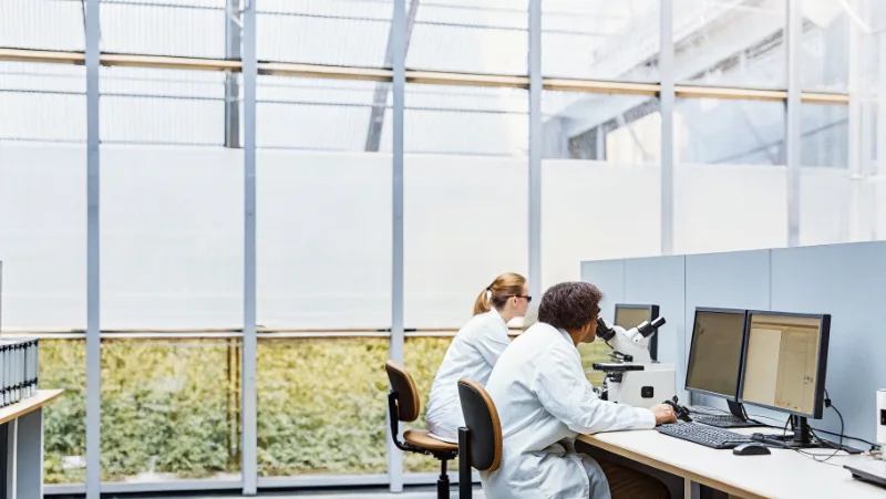 Scientists working at computer workstations in modern research laboratory
